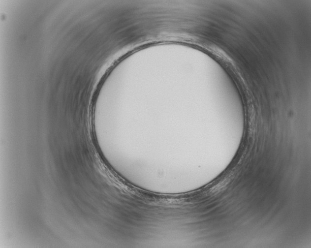 X0000052541280200507291841