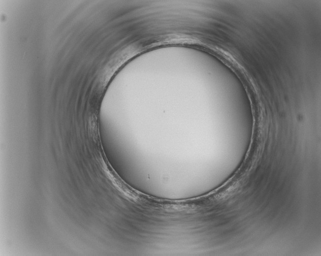 X0000052541281200507291841