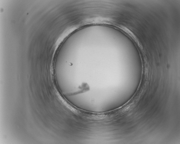 X0000052541285200507291841