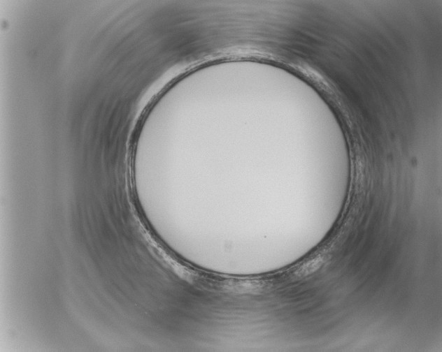 X0000052541286200507291841