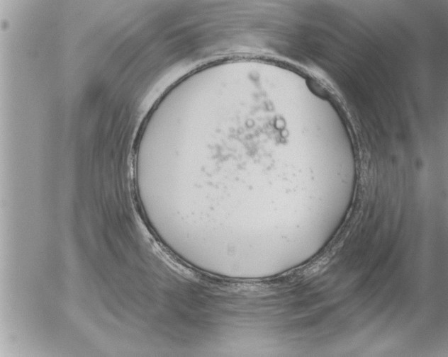 X0000052541287200507291841