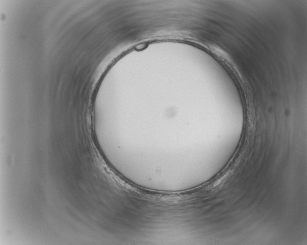 X0000052541288200507291841