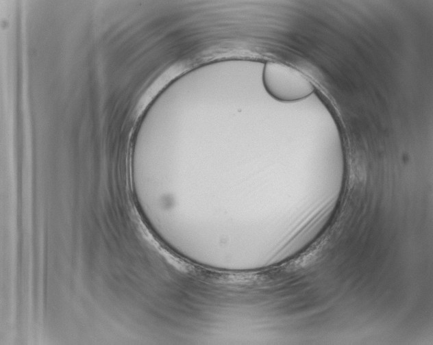 X0000052541290200507291841