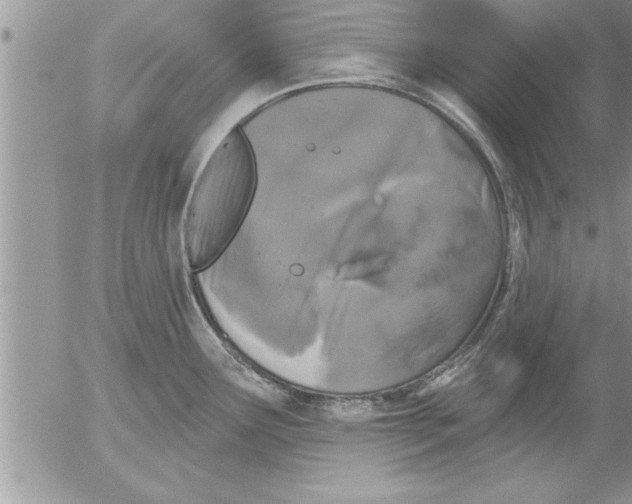 X0000052541291200507291841