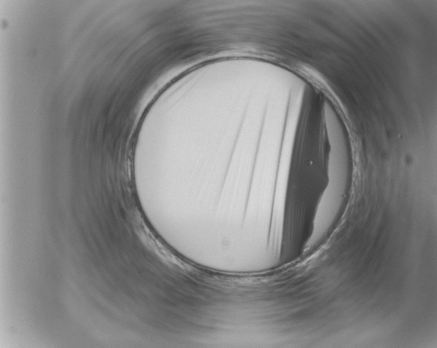 X0000052541292200507291841