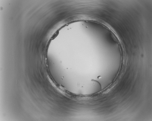 X0000052541293200507291841