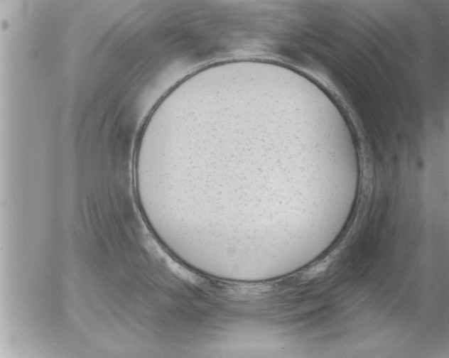 X0000052541294200507291841