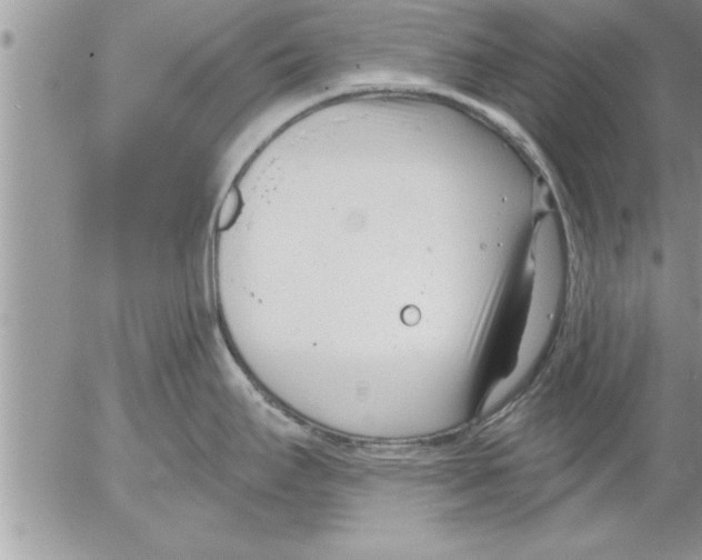 X0000052541295200507291841