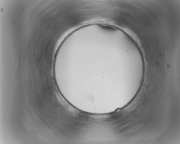 X0000052541296200507291841