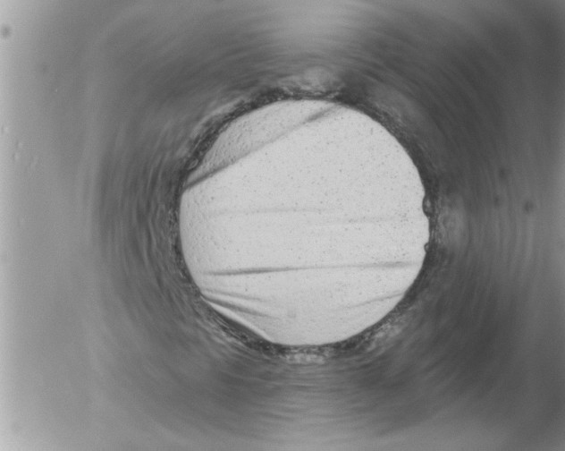 X0000052541297200507291840