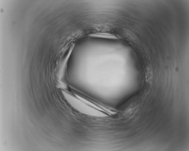 X0000052541298200507291840