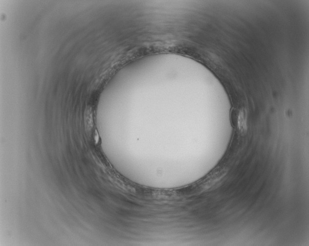 X0000052541299200507291840