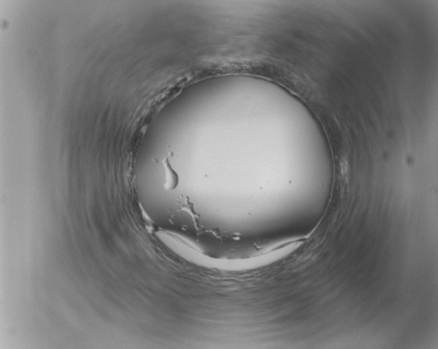 X0000052541300200507291840