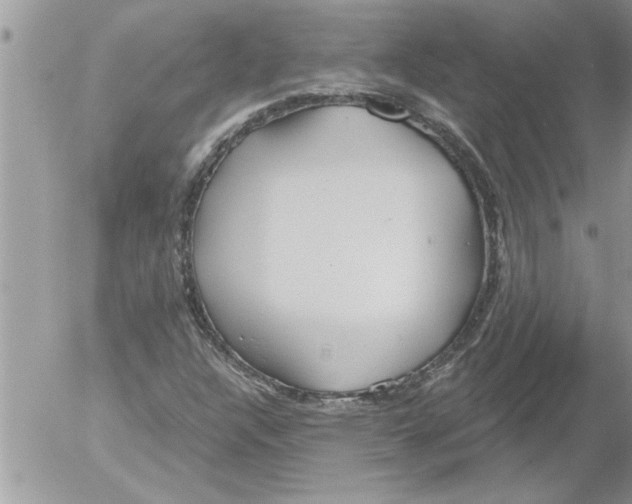 X0000052541304200507291840