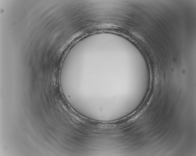 X0000052541305200507291840