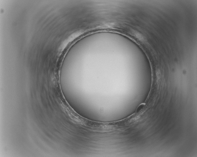 X0000052541308200507291840