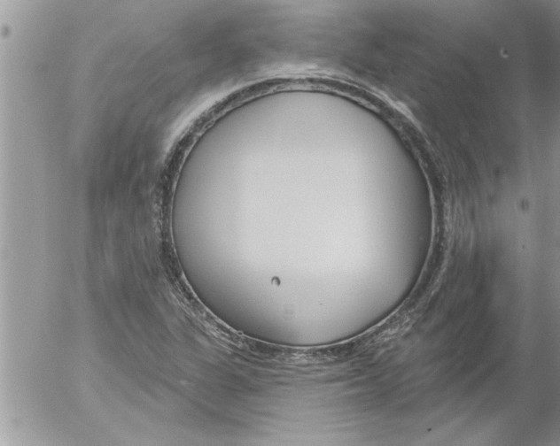 X0000052541311200507291840