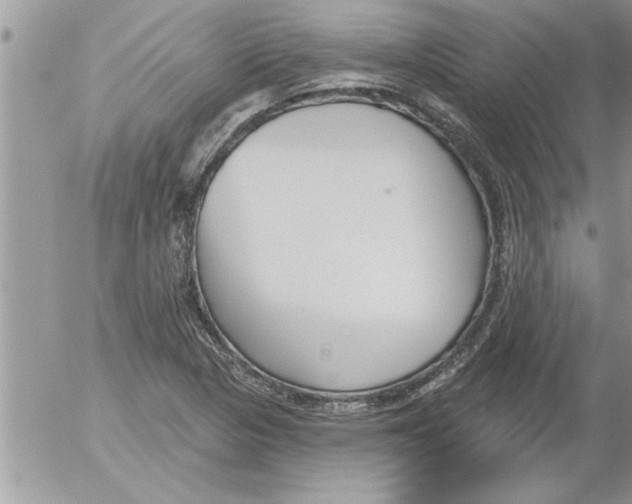 X0000052541313200507291840