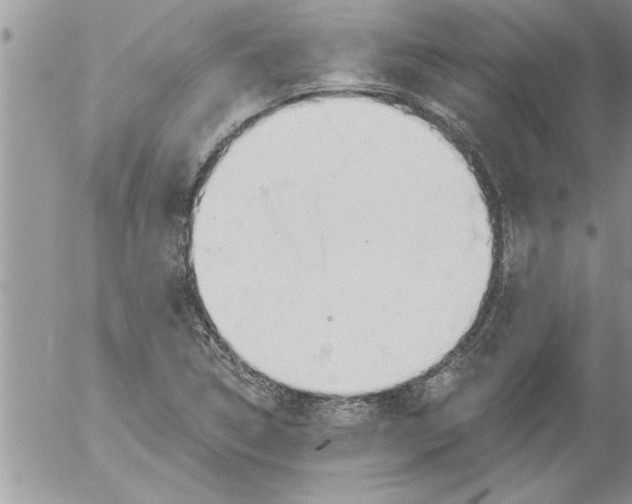 X0000052541314200507291840