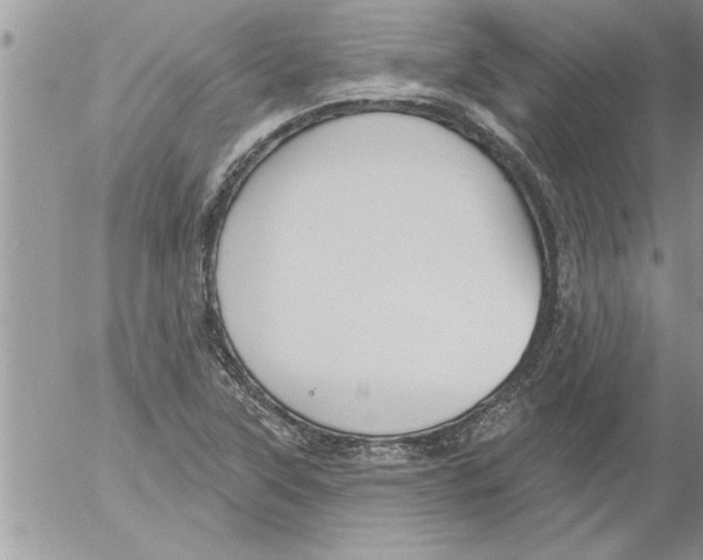 X0000052541315200507291840