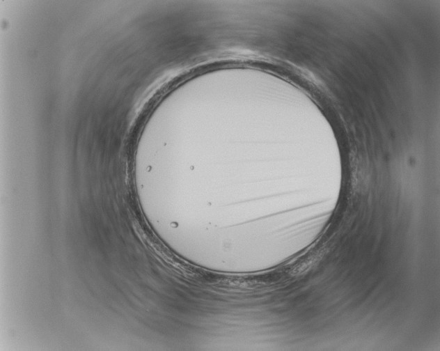 X0000052541318200507291840