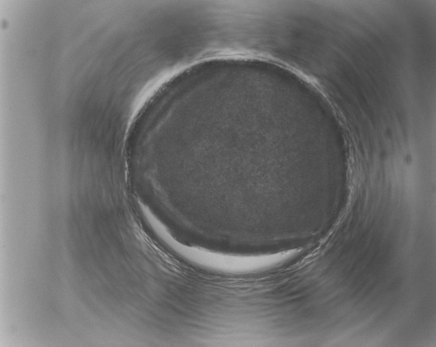 X0000052541319200507291840