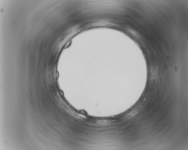 X0000052541322200507291840