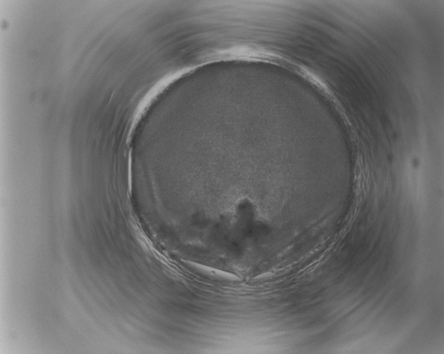 X0000052541323200507291840