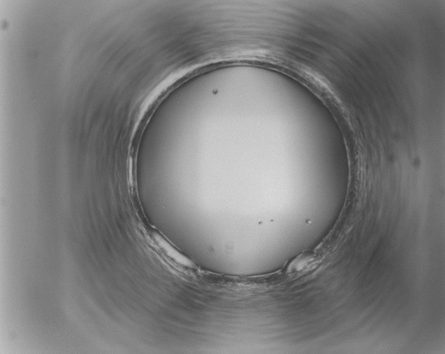 X0000052541324200507291840