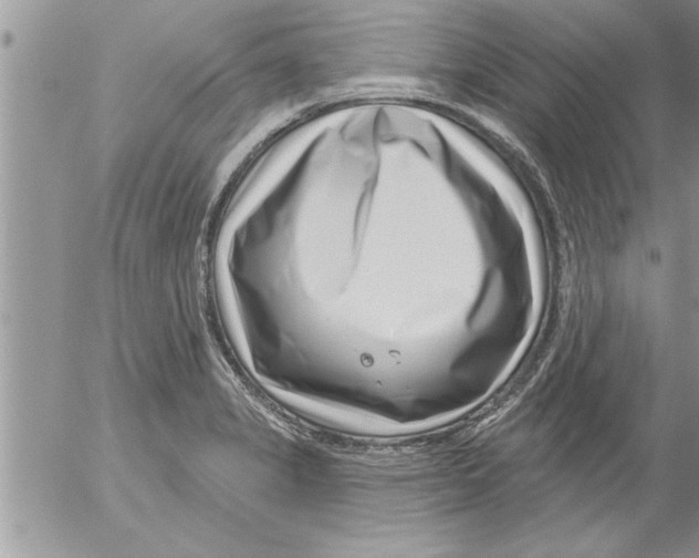 X0000052541325200507291840