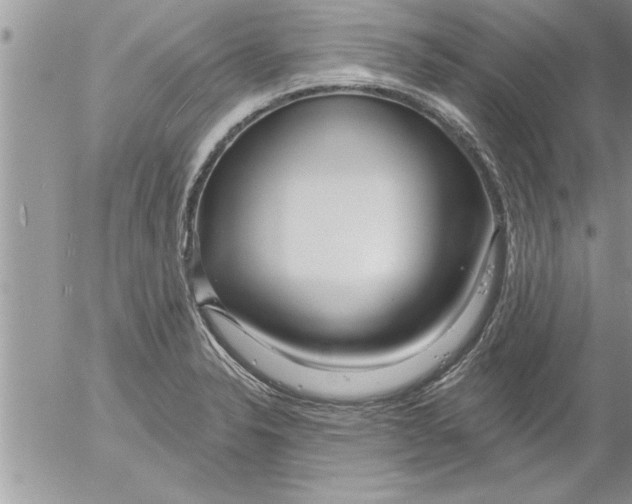 X0000052541326200507291840