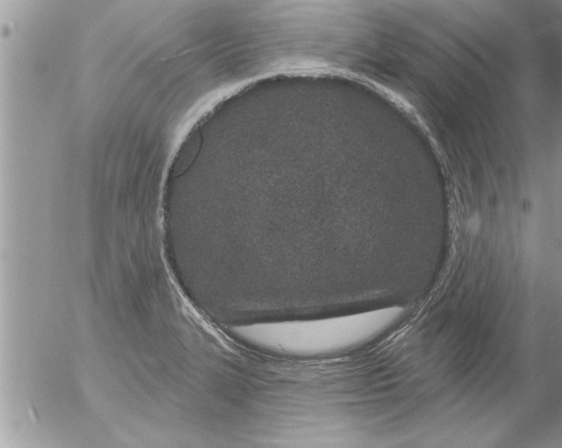 X0000052541327200507291840