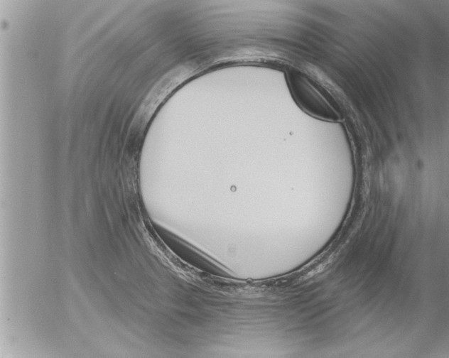 X0000052541329200507291840