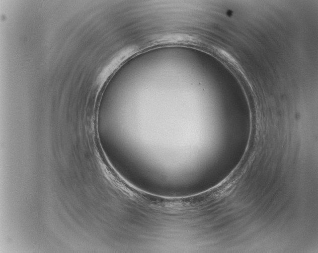 X0000052541330200507291840