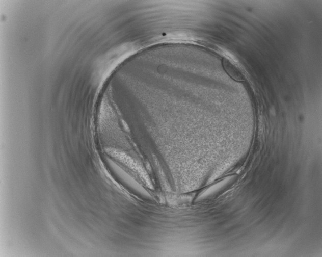 X0000052541331200507291840