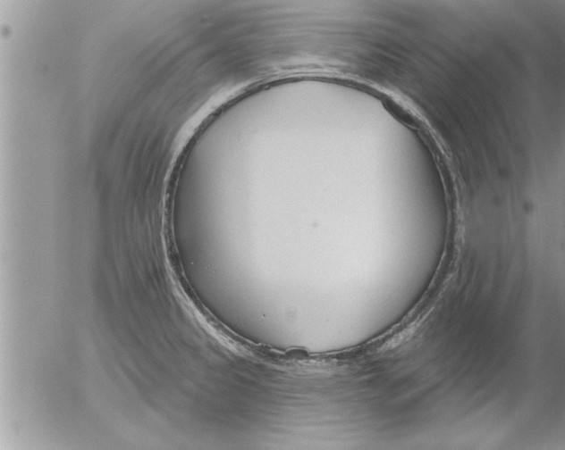 X0000052541333200507291840