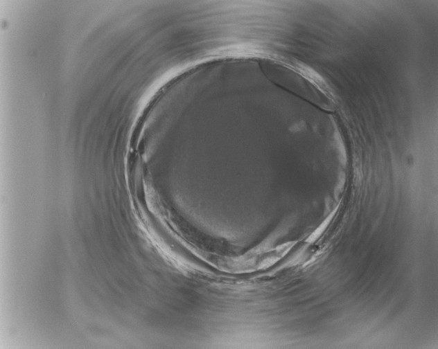 X0000052541334200507291840