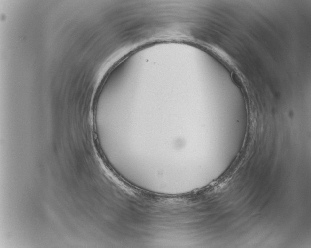 X0000052541335200507291840