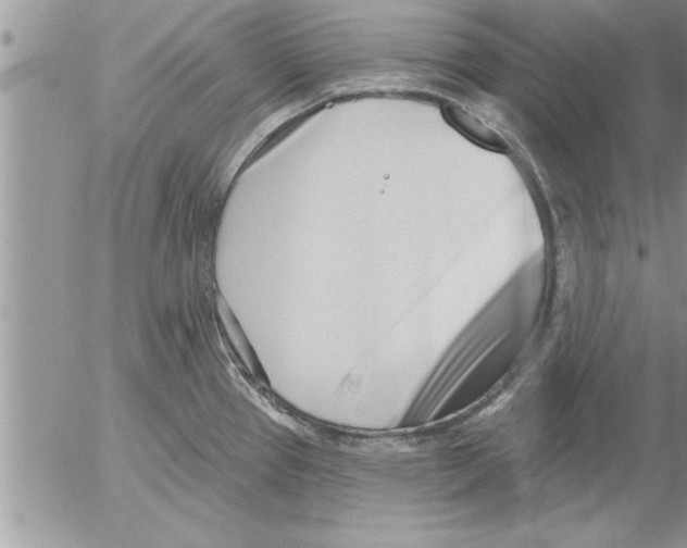 X0000052541337200507291841