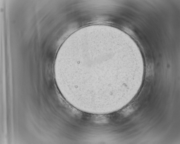 X0000052541338200507291841