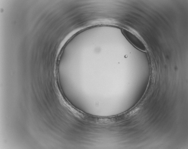 X0000052541339200507291841