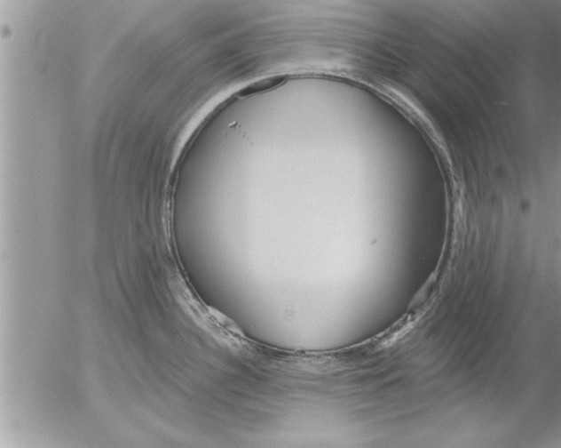 X0000052541340200507291841