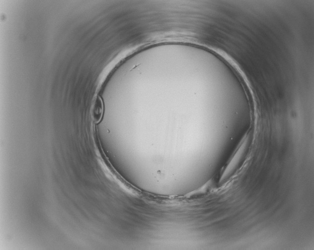 X0000052541341200507291841