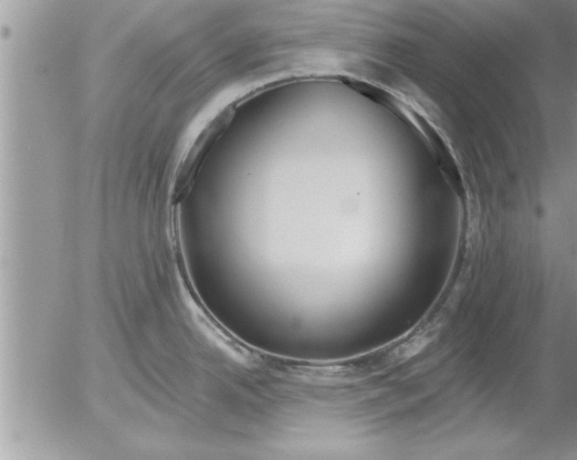 X0000052541342200507291841