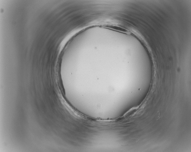 X0000052541344200507291841