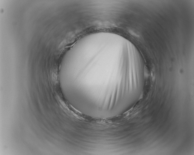 X0000052541348200507291840