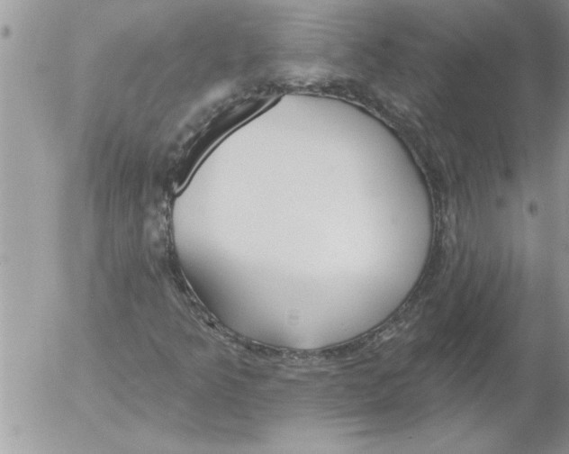 X0000052541349200507291840