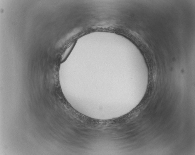 X0000052541350200507291840