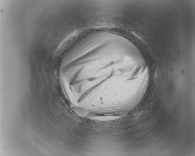 X0000052541351200507291840