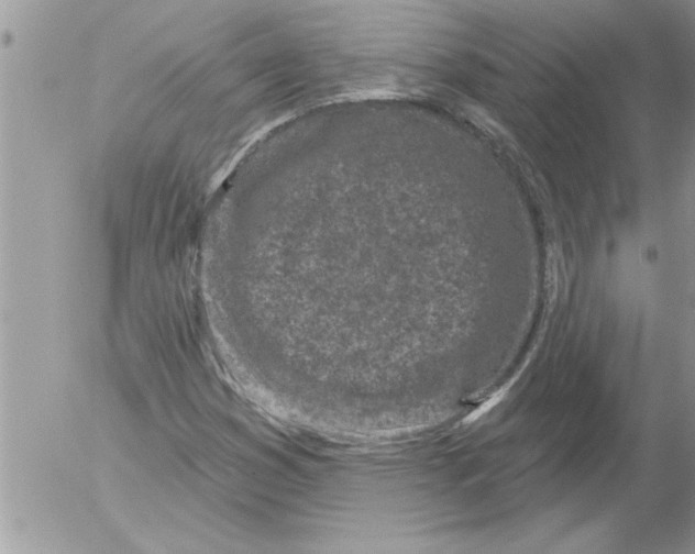 X0000052541353200507291840